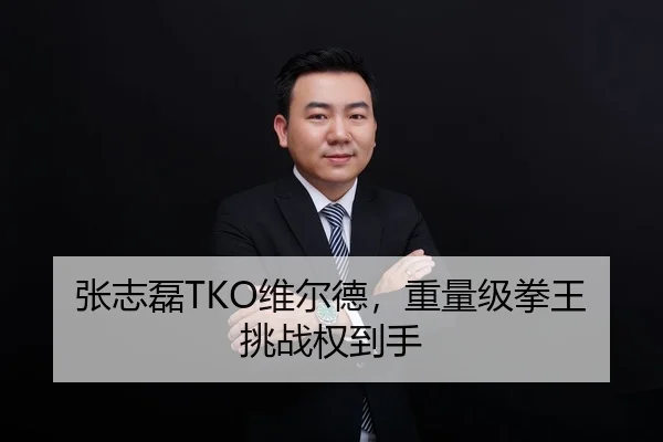 张志磊TKO维尔德，重量级拳王挑战权到手