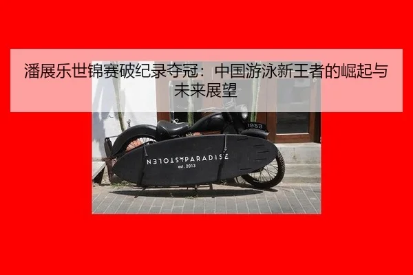 pan-zhan-le-shi-jin-sai-po-ji-lu-duo-guan-zhong-guo-you-yong-xin-wang-zhe-de-jue-qi-yu-wei-lai-zhan-wang-3-509.jpg