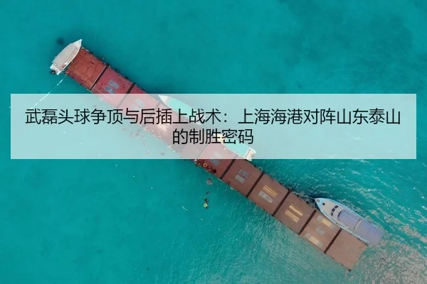wu-lei-tou-qiu-zheng-ding-yu-hou-cha-shang-zhan-shu-shang-hai-hai-gang-dui-zhen-shan-dong-tai-shan-de-zhi-sheng-mi-ma-3-217.jpg